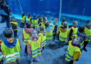 dzieci podziwiają podwodny świat