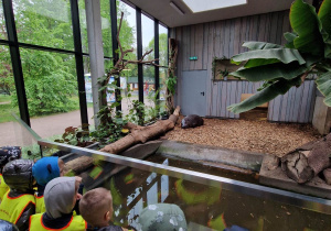dzieci obserwują hipopotama