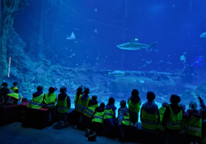 dzieci obserwują podwodny świat